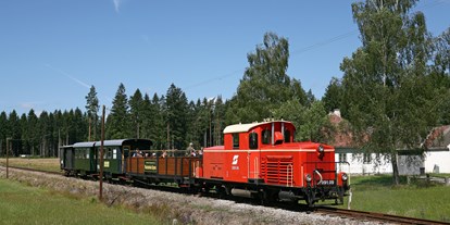 Ausflug mit Kindern - Ausflugsziel ist: eine Bahn - Wackelstein-Express - Wackelstein-Express