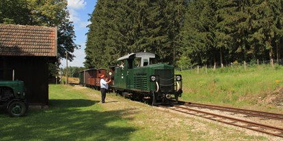 Ausflug mit Kindern - Götzles - Wackelstein-Express - Wackelstein-Express