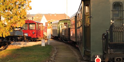Ausflug mit Kindern - Ausflugsziel ist: eine Bahn - Wackelstein-Express
