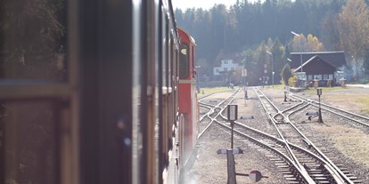 Ausflug mit Kindern - Götzweis - Wackelstein-Express