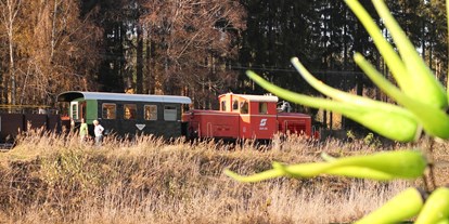 Ausflug mit Kindern - Breitensee (Gmünd) - Wackelstein-Express