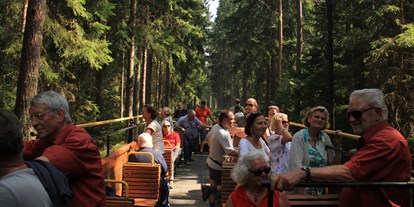 Ausflug mit Kindern - Parkmöglichkeiten - Waldviertel - Wackelstein-Express