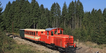 Ausflug mit Kindern - Ausflugsziel ist: eine Bahn - Wackelstein-Express