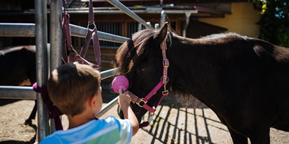 Ausflug mit Kindern - Niederdörfl / Spodnja vesca - Reiten am Ponyhof Nachbar