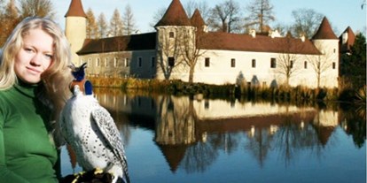 Ausflug mit Kindern - barrierefrei - Sprögnitz - NÖ Falknerei- & Greifvogelzentrum Schloss Waldreichs
Saison 2019: 18. April bis 13. Oktober 2019 - NÖ Falknerei- und Greifvogelzentrum Waldreichs