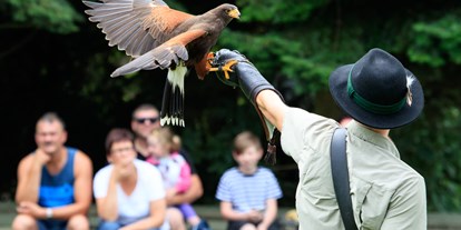 Ausflug mit Kindern - Ausflugsziel ist: ein Zoo - Niederranna (Mühldorf) - NÖ Falknerei- und Greifvogelzentrum Waldreichs