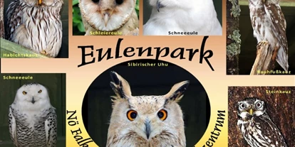 Trip with children - Sitzendorf (Irnfritz-Messern) - Einzigartig ist unser Eulenpark - NÖ Falknerei- und Greifvogelzentrum Waldreichs