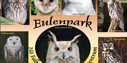 Ausflug mit Kindern - Parkmöglichkeiten - Waldviertel - Einzigartig ist unser Eulenpark - NÖ Falknerei- und Greifvogelzentrum Waldreichs