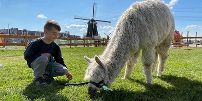 Ausflug mit Kindern - Barnimer Land - Alpaka - Holland-Park
