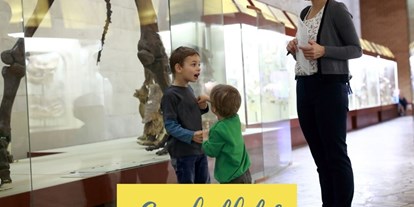 Ausflug mit Kindern - Ausflugsziel ist: ein Museum - St. Pölten - Symbolbild für Ausflugsziel Wachaumuseum. Keine korrekte oder ähnlich Darstellung! - Wachaumuseum