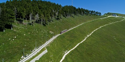 Ausflug mit Kindern - Paradiso - Zahnradbahn Mnte Generoso - Monte Generoso - Fiore di pietra