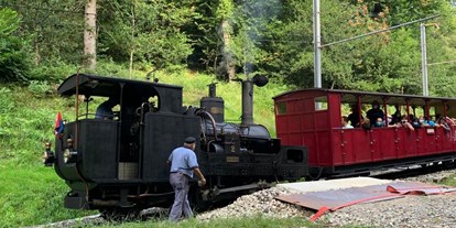 Ausflug mit Kindern - Ausflugsziel ist: eine Bahn - Dampfzug - Monte Generoso - Fiore di pietra