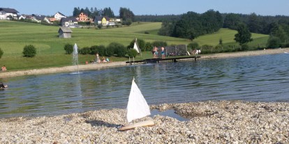 Ausflug mit Kindern - Umgebungsschwerpunkt: Wald - Waisenegg - Badespaß für alle im Freizeitland Fischbach - Freizeitland Fischbach