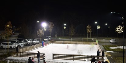 Ausflug mit Kindern - Witterung: Schönwetter - PLZ 2753 (Österreich) - Eislaufplatz Felixdorf