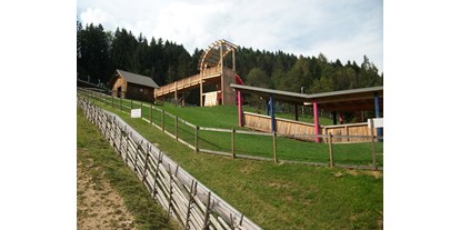 Ausflug mit Kindern - Witterung: Bewölkt - Waisenegg - Erlebnispark Sommerrodelbahn Koglhof