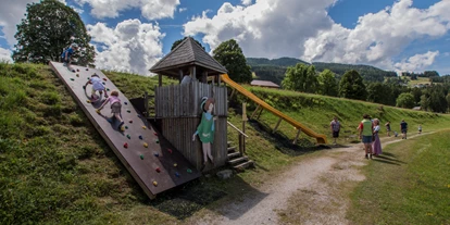 Trip with children - Vorderkleinarl - Spielstation - Märchenweg Rohrmoos