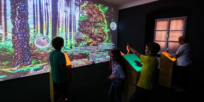Ausflug mit Kindern - Witterung: Schönwetter - Murau (Murau) - Sie können den Wald interaktiv zum Leben erwecken - NaturLese-Museum Neumarkt