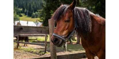 Ausflug mit Kindern - Unterbuch (Gmünd in Kärnten) - Trattlers Ponyfarm - Trattlers Ponyfarm 