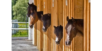 Ausflug mit Kindern - Ausflugsziel ist: ein Spielplatz - Obere Fellach - Pferdestall Trattlerhof - Trattlers Ponyfarm 