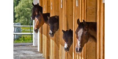 Ausflug mit Kindern - Alter der Kinder: 1 bis 2 Jahre - Neudorf (Wernberg) - Pferdestall Trattlerhof - Trattlers Ponyfarm 