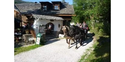 Ausflug mit Kindern - Kremsbrücke - Pferdekutschen Erlebnisfahrten - Trattlers Ponyfarm 