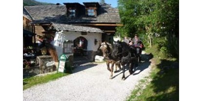 Ausflug mit Kindern - Restaurant - PLZ 9800 (Österreich) - Pferdekutschen Erlebnisfahrten - Trattlers Ponyfarm 