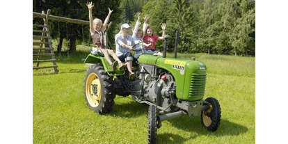 Ausflug mit Kindern - Ausflugsziel ist: ein Spielplatz - Obere Fellach - Oldtimer Traktoren-Ausfahrten - Trattlers Ponyfarm 