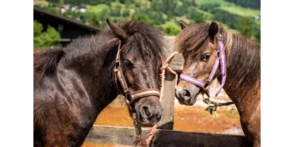 Ausflug mit Kindern - Frög - Trattlers Ponyfarm 