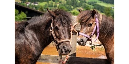 Ausflug mit Kindern - Schüttbach - Trattlers Ponyfarm 