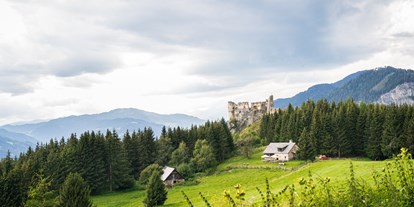 Ausflug mit Kindern - Umgebungsschwerpunkt: Land - Steiermark - Burgruine Steinschloss: (c) marygoodfoto.com - Via Natura