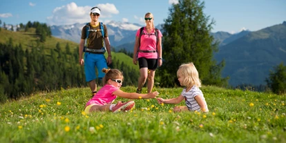 Trip with children - Alter der Kinder: 1 bis 2 Jahre - Vorderkleinarl - Großarltal - Tal der Almen