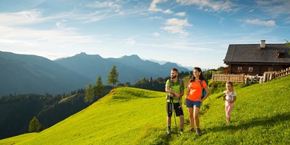 Ausflug mit Kindern - Alter der Kinder: 6 bis 10 Jahre - PLZ 5600 (Österreich) - Großarltal - Tal der Almen
