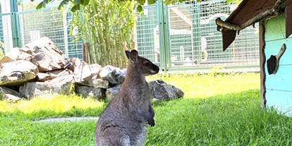 Ausflug mit Kindern - Ausflugsziel ist: ein Freizeitpark - Bad Wörishofen - Kängurus im Wildpark - Reit- und Wildpark Weil