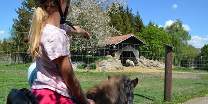 Ausflug mit Kindern - Themenschwerpunkt: Pferde - Reit- und Wildpark Weil