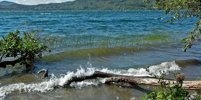 Ausflug mit Kindern - Ausflugsziel ist: ein Bad - Laacher See - Maria Laach