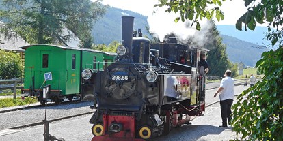 Ausflug mit Kindern - Umgebungsschwerpunkt: Wald - PLZ 5575 (Österreich) - Dampflokomotive 298.56 "Mariapfarr" beim Rangieren im Bahnhof Mauterndorf - Taurachbahn