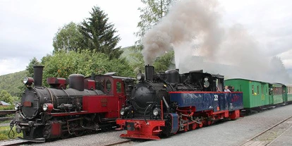 Reis met kinderen - St. Ruprecht ob Murau - Die beiden Heeresfeldbahn-Dampflokomotiven der Taurachbahn. Links: 699.01, rechts: SKGLB 22 - Taurachbahn