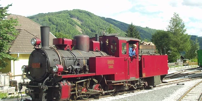 Trip with children - St. Ruprecht ob Murau - Heeresfeldbahn-Dampflokomotive 699.01 der Taurachbahn - Taurachbahn