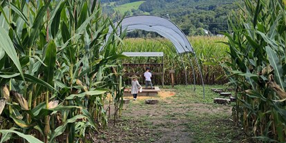 Ausflug mit Kindern - Ausflugsziel ist: ein Naturerlebnis - Seeham - Lehner Maislabyrinth Salzburg