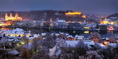 Ausflug mit Kindern - Umgebungsschwerpunkt: Fluss - Wien Landstraße - Weihnachtliche Kabarettfahrt Wien - Passau