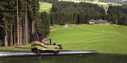 Ausflug mit Kindern - Ausflugsziel ist: ein Skigebiet - Moos (Enns) - Schilift "Stoaninger Alm"