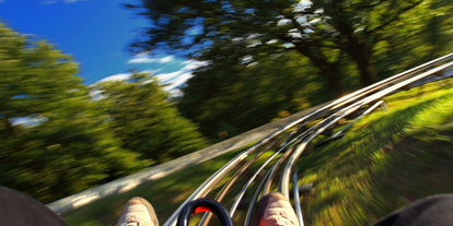 Ausflug mit Kindern - Ausflugsziel ist: eine Sommerrodelbahn - Hirschbach im Mühlkreis - Symbolbild für Ausflugsziel Speed-Gleit-Bahn "Stoaninger Alm". Keine korrekte oder ähnlich Darstellung! - Speed-Gleit-Bahn "Stoaninger Alm"