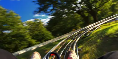 Ausflug mit Kindern - Sandl - Symbolbild für Ausflugsziel Speed-Gleit-Bahn "Stoaninger Alm". Keine korrekte oder ähnlich Darstellung! - Speed-Gleit-Bahn "Stoaninger Alm"