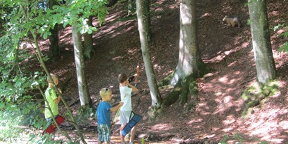 Ausflug mit Kindern - Umgebungsschwerpunkt: Land - Schönau im Mühlkreis - 3D-Bogenparcours Windhaag bei Perg