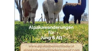 Ausflug mit Kindern - Themenschwerpunkt: Bewegung - Gundersdorf (Steinerkirchen an der Traun) - Vorderseite Flyer - Alpakawanderung mit der ganzen Familie