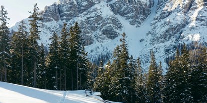 Ausflug mit Kindern - Winterausflugsziel - Österreich - Serlesbahnen