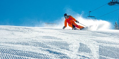 Ausflug mit Kindern - Themenschwerpunkt: Skifahren - Skigebiet Stuhleck