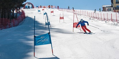 Ausflug mit Kindern - Themenschwerpunkt: Skifahren - Mürzzuschlag - Skigebiet Stuhleck