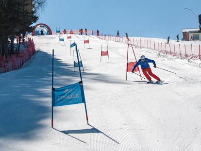 Ausflug mit Kindern - Ausflugsziel ist: ein Skigebiet - Skigebiet Stuhleck