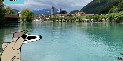 Ausflug mit Kindern - Umgebungsschwerpunkt: Fluss - PLZ 6174 (Schweiz) - Detektiv-Trail Interlaken
